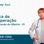 Clínica de Recuperação em Baixa Grande do Ribeiro - PI