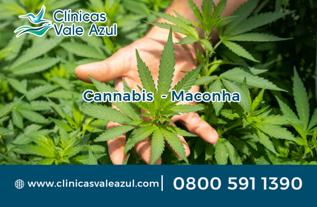 cannabis