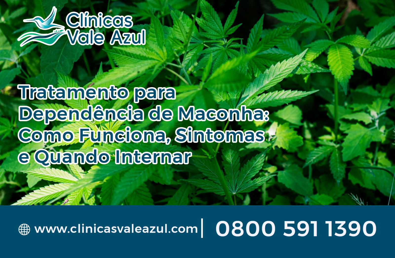 tratamento para maconha