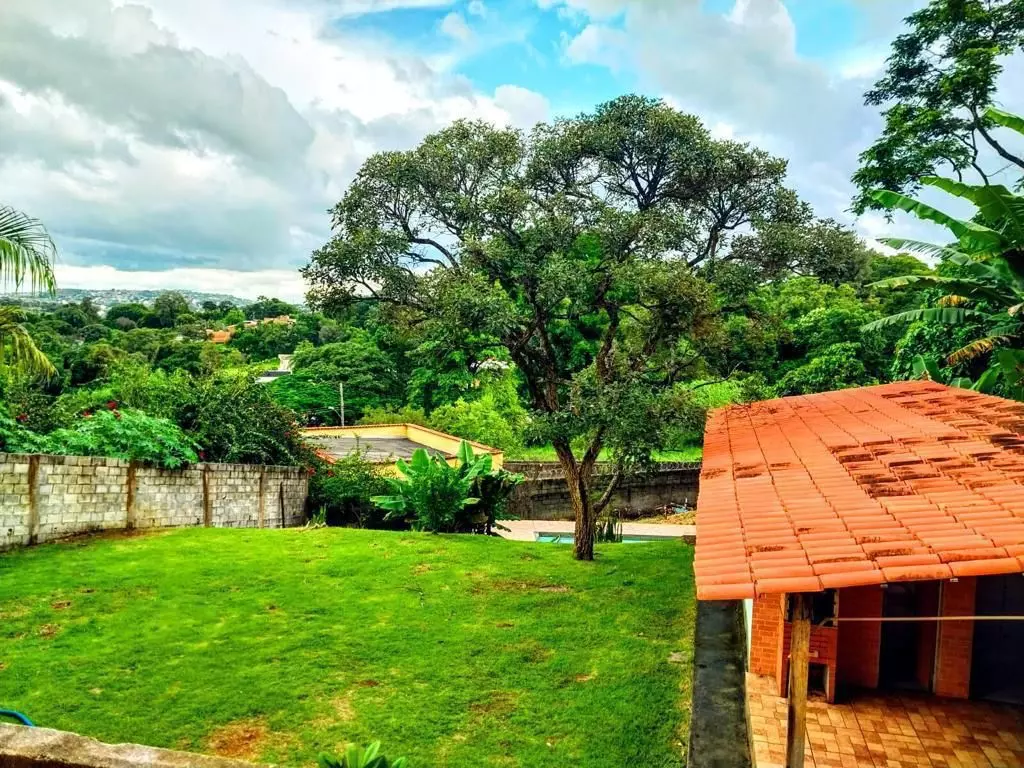 clinica padrao